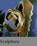 Sculpture